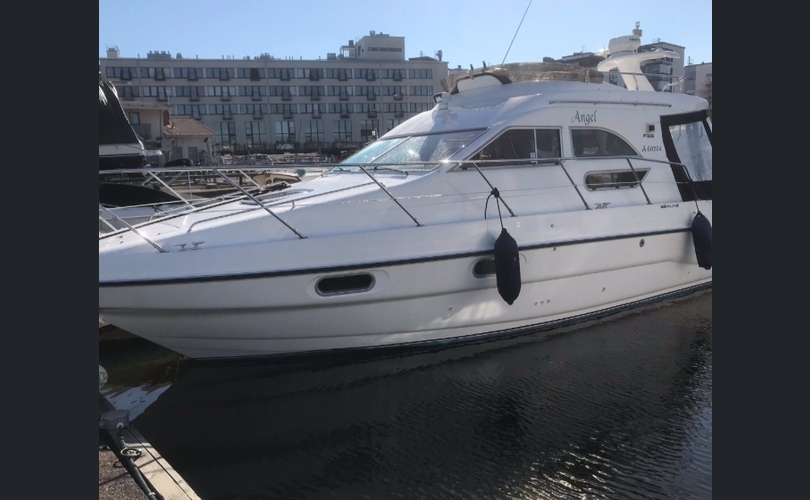 Sealine F 33-kuva-13